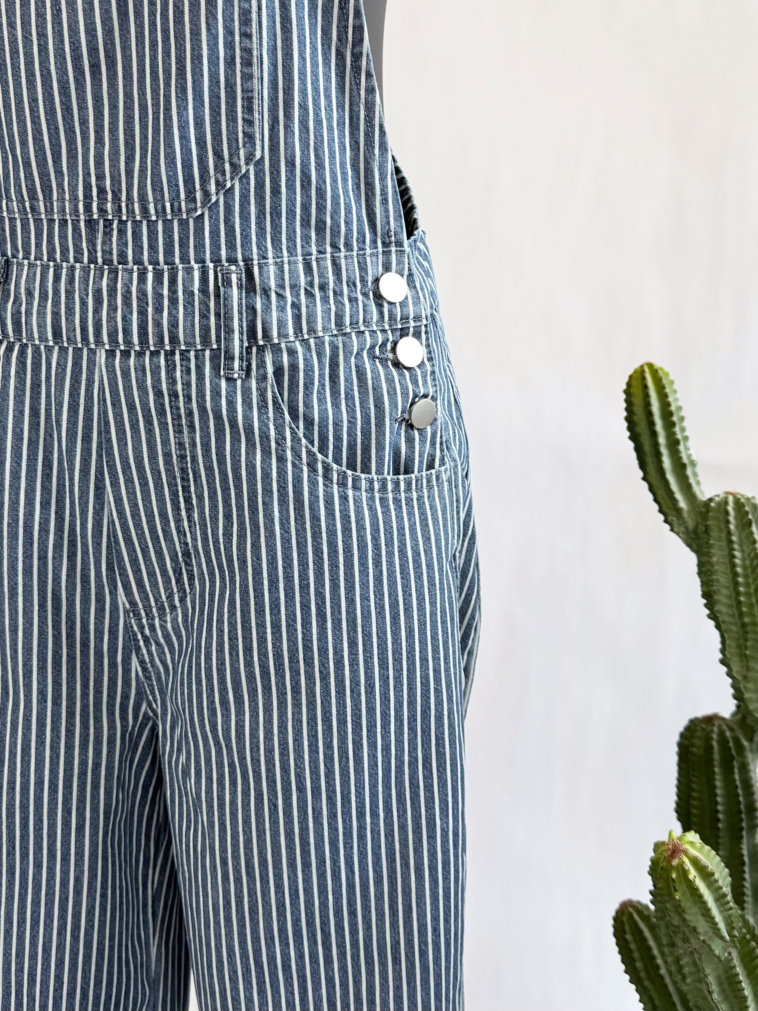 The Railroad Stripe Overalls