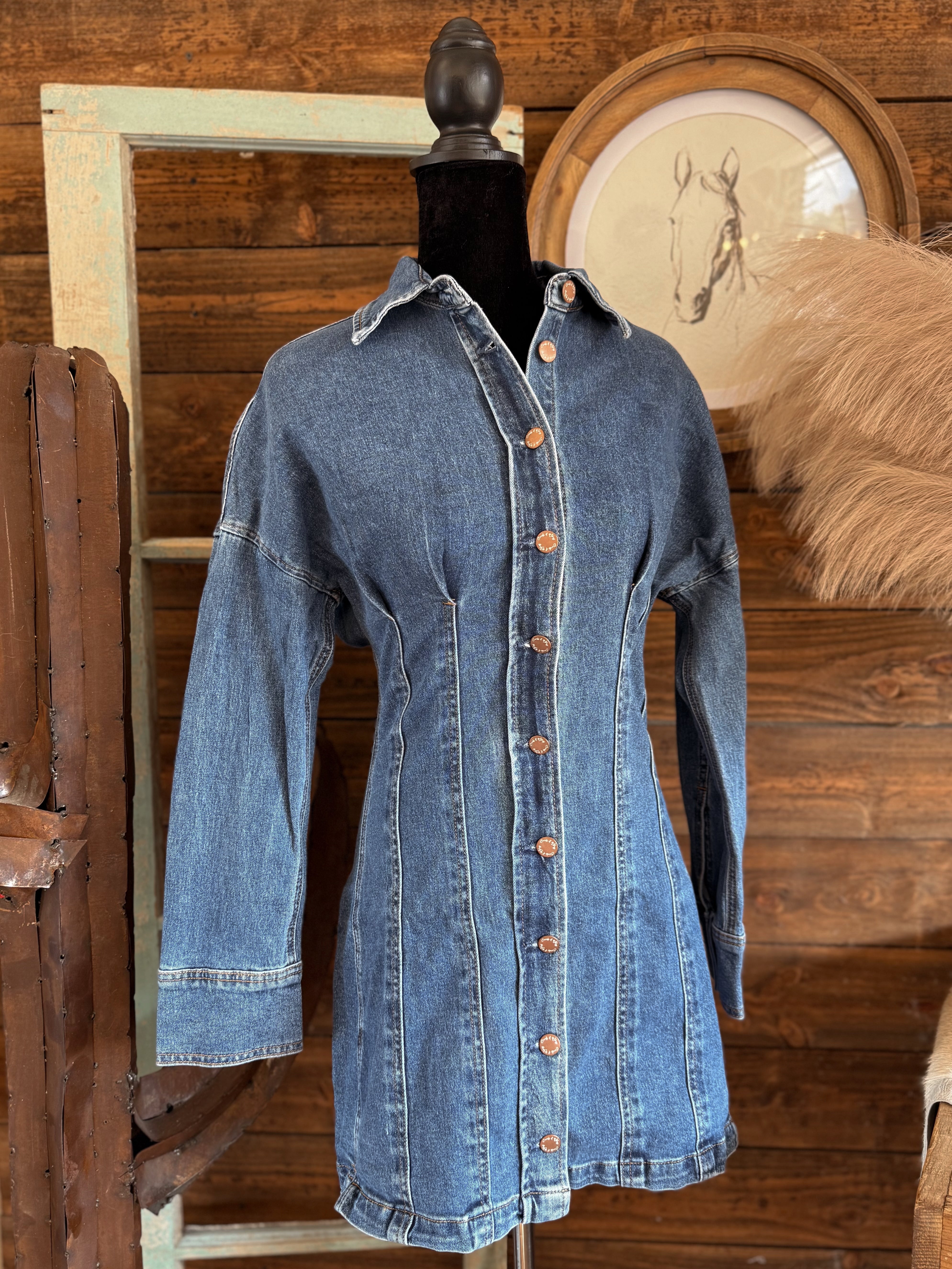 The Rue Denim Dress