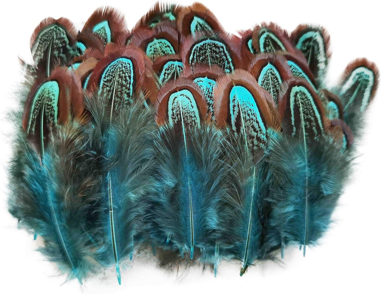 The Small Feathers