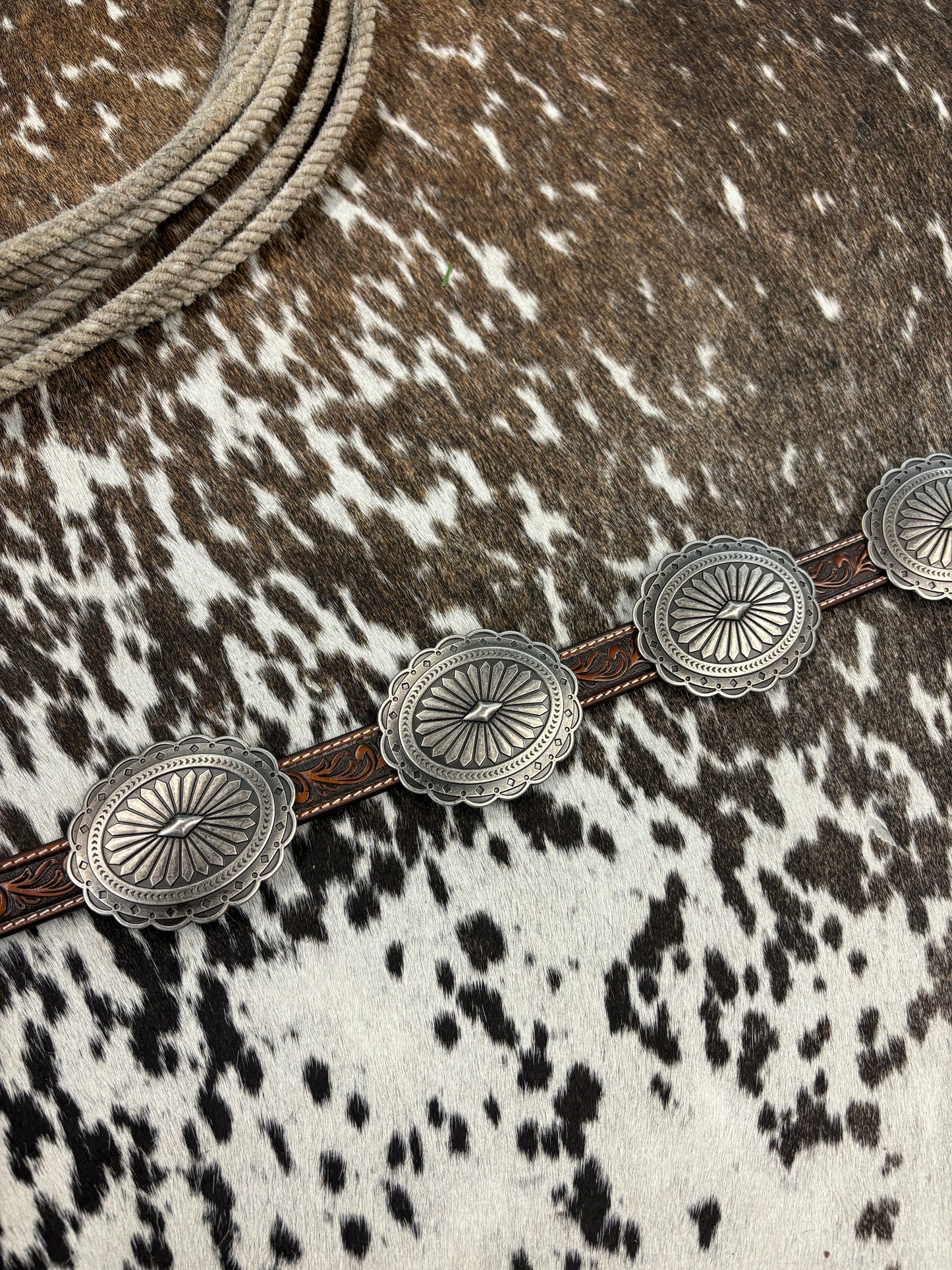 The Ariat Oval Tooled Concho Belt