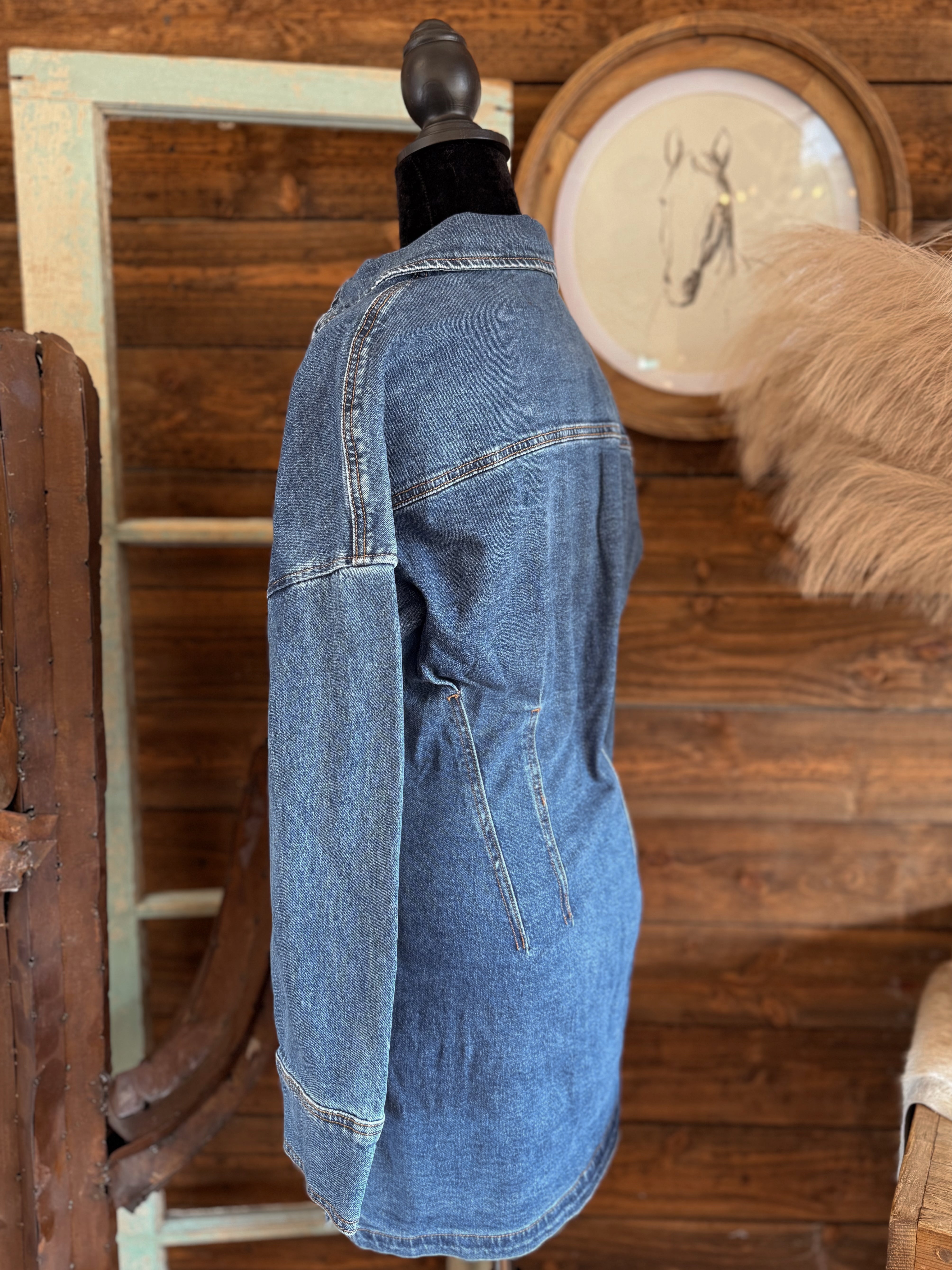 The Rue Denim Dress