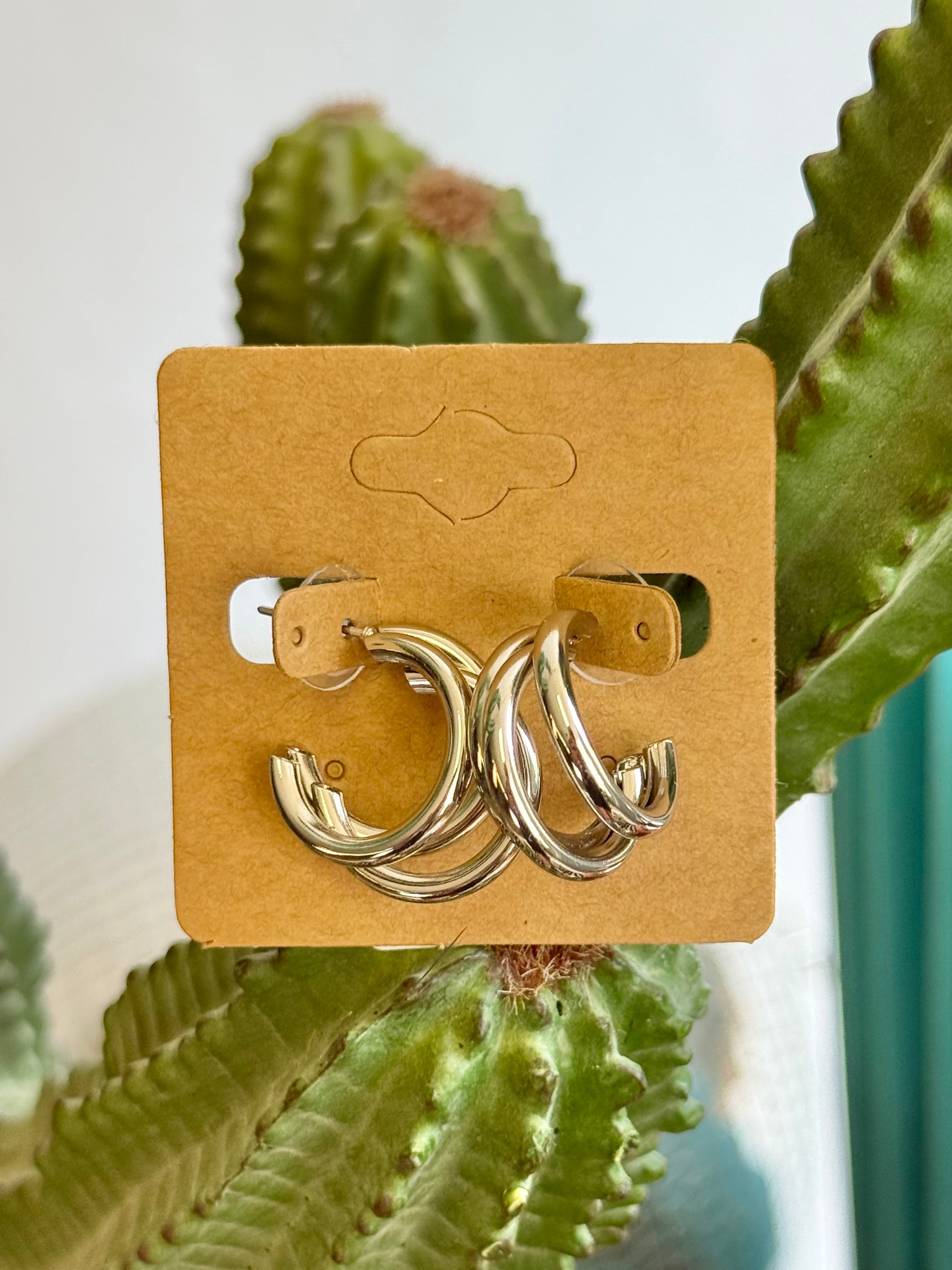 The Leila Hoops