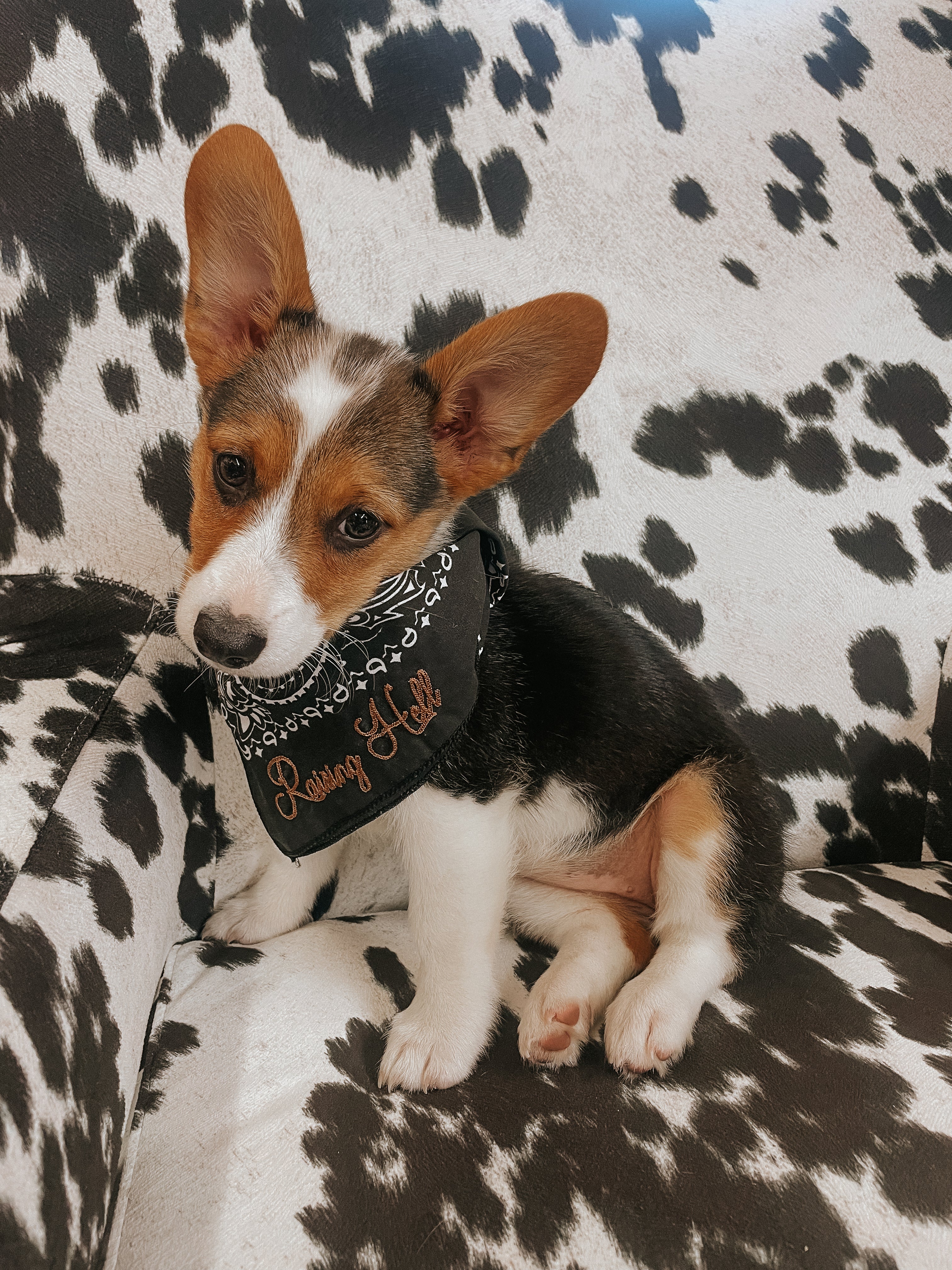 The Chainstitched Bandanas