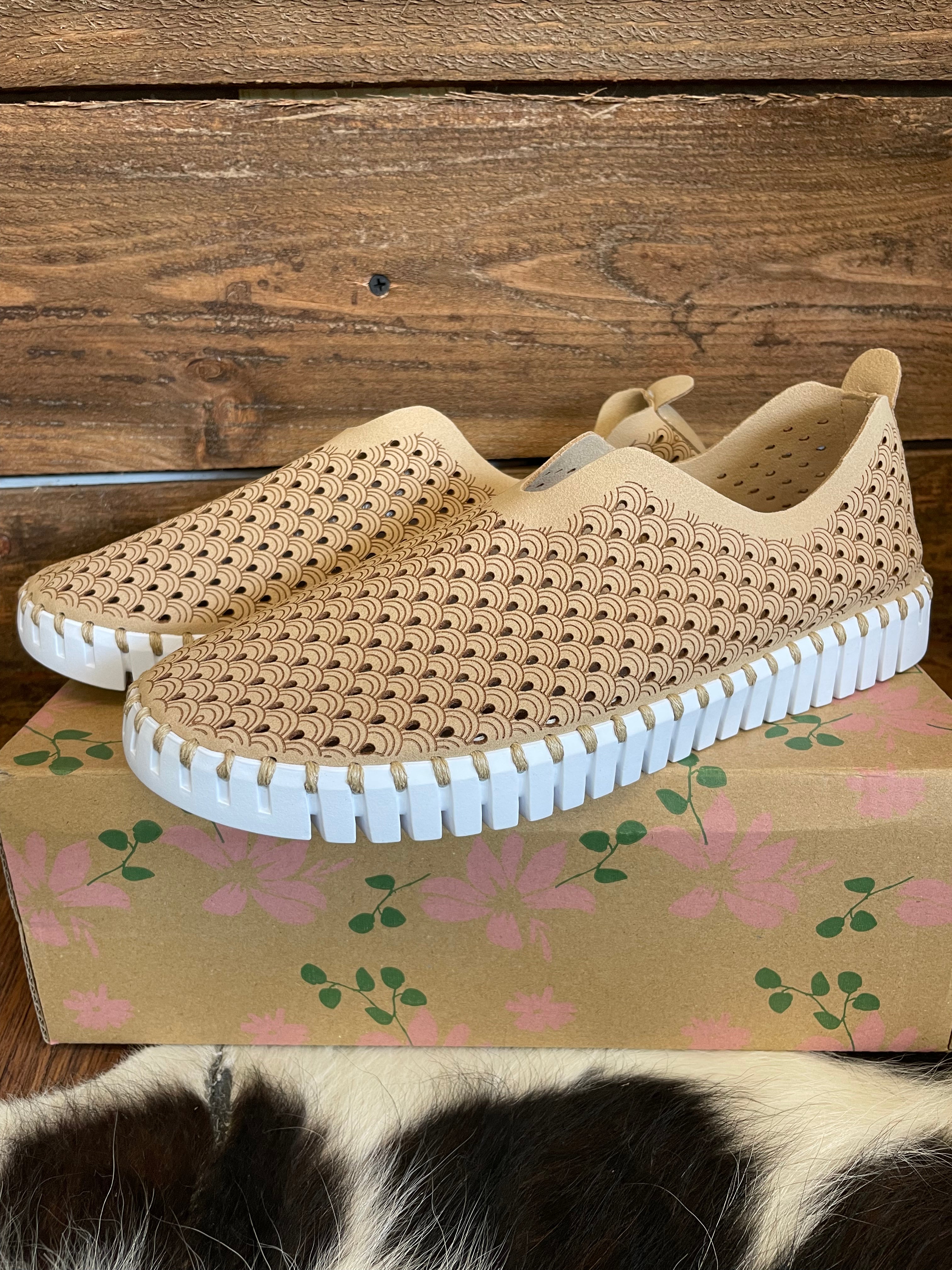 The Tulip Latte Shoes