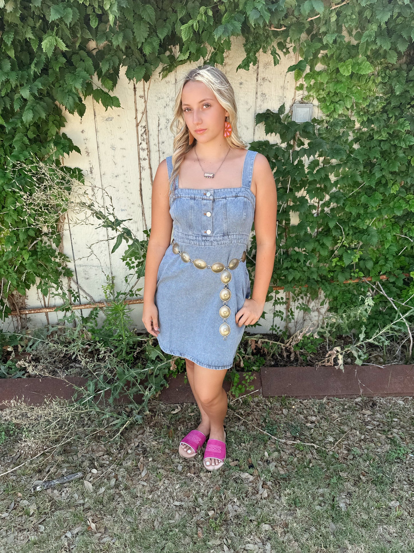 The Ella Denim Dress