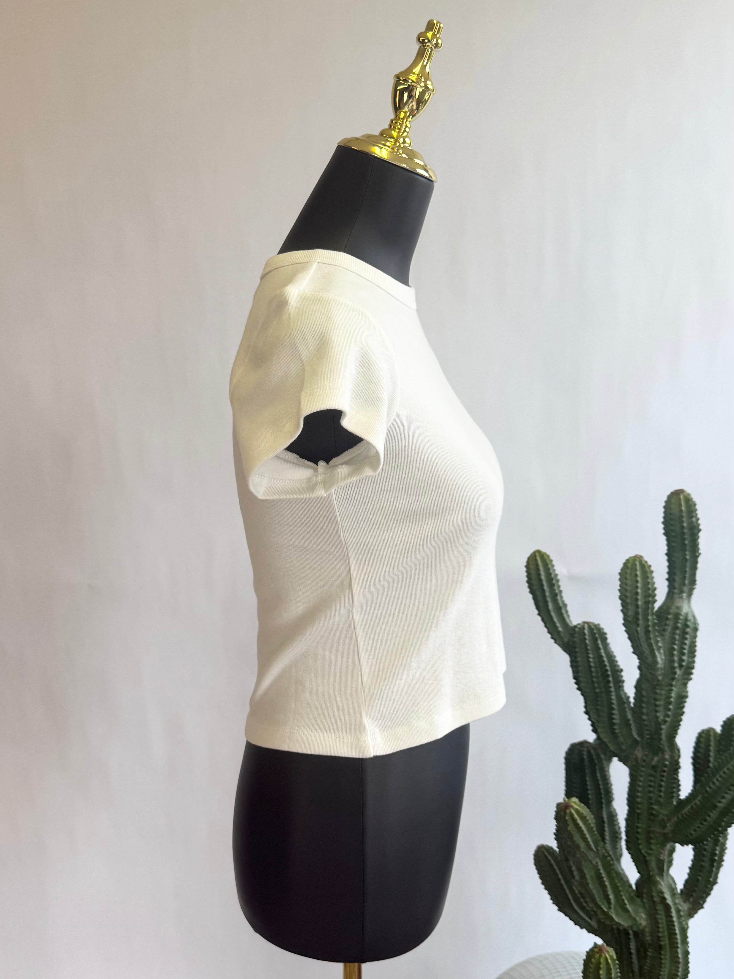 The Every Day Crop Top