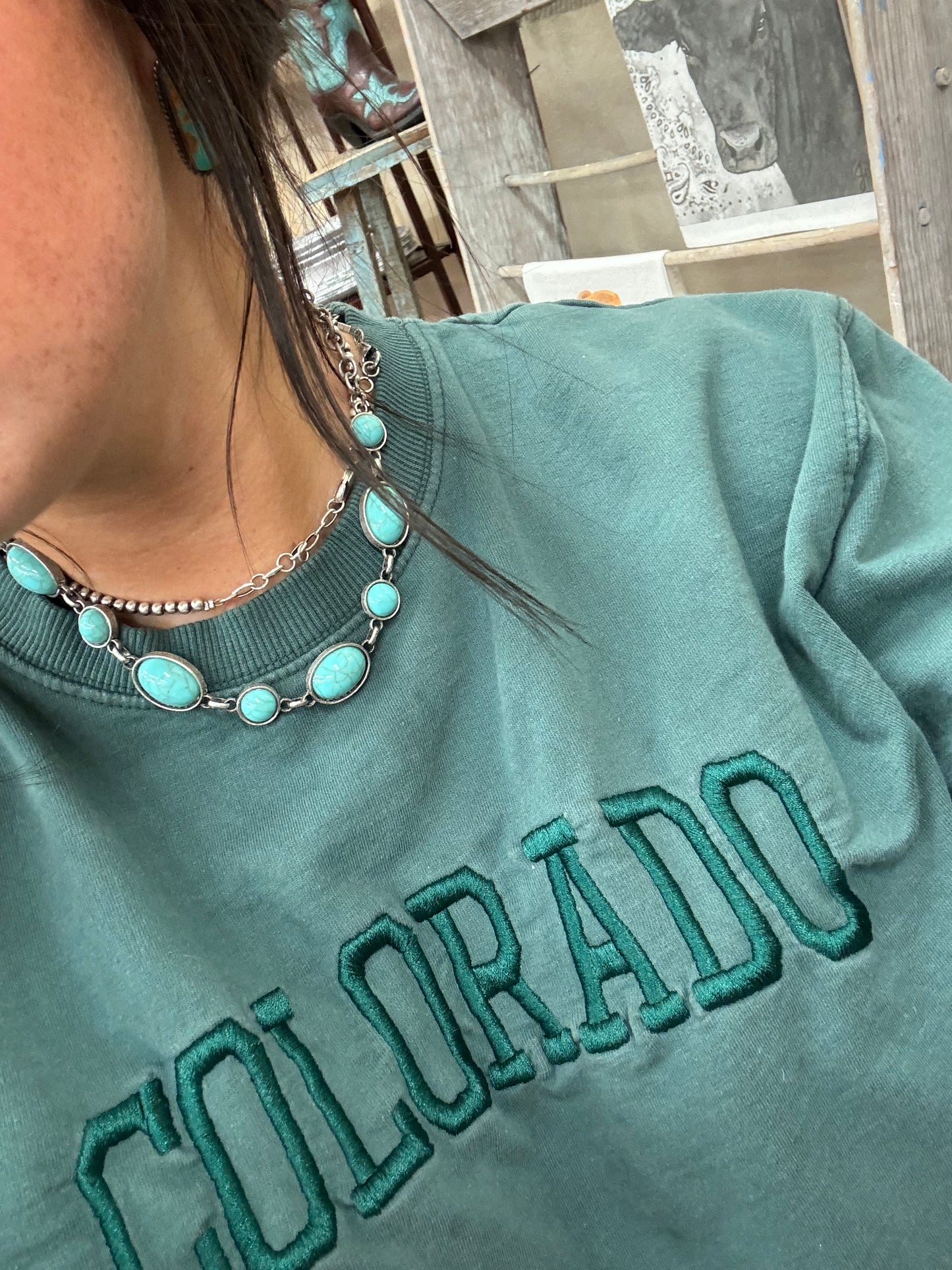 The Turquoise Choker Necklace (3 colors)