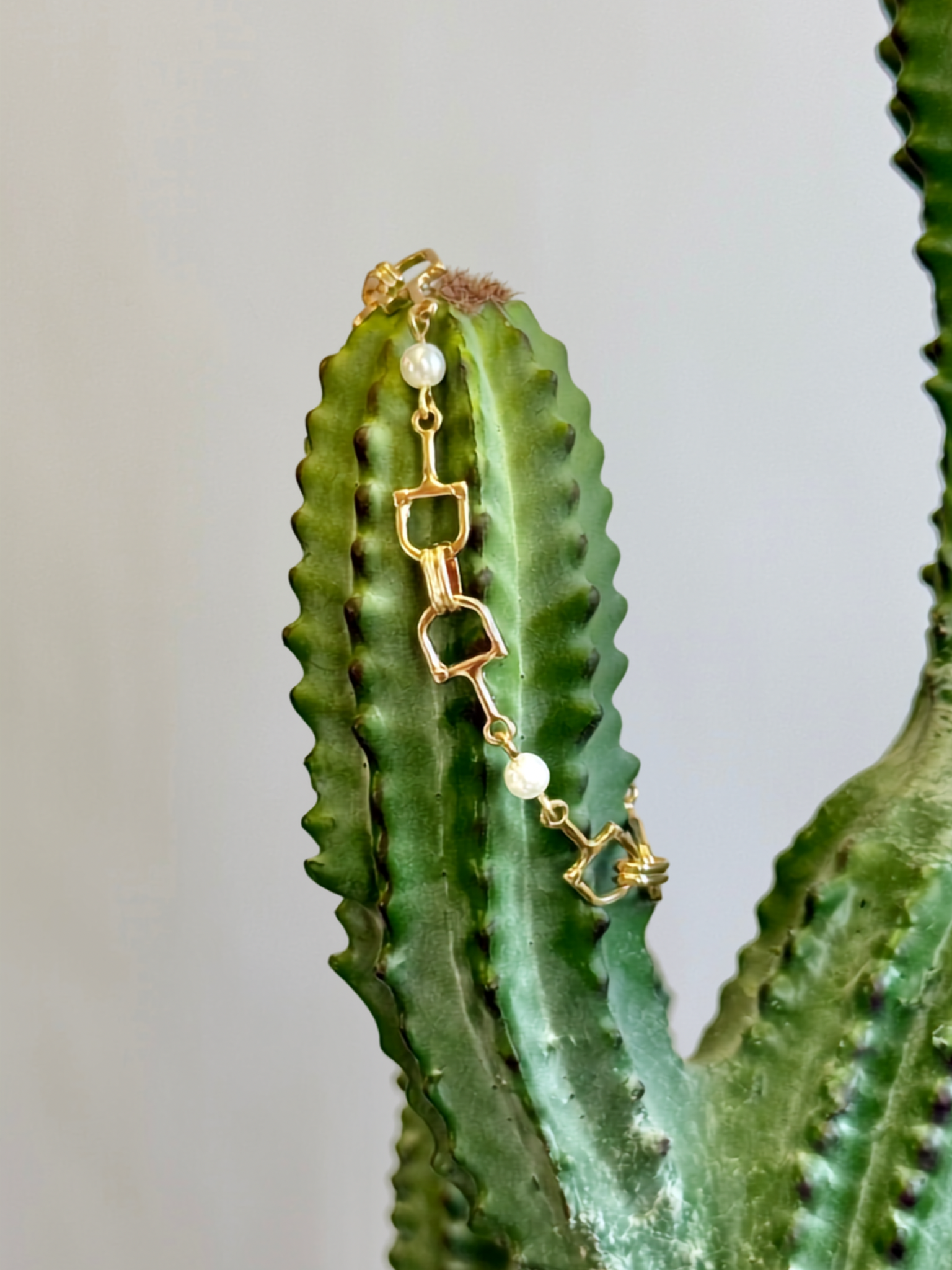 The Seaside Cowgirl Bracelet
