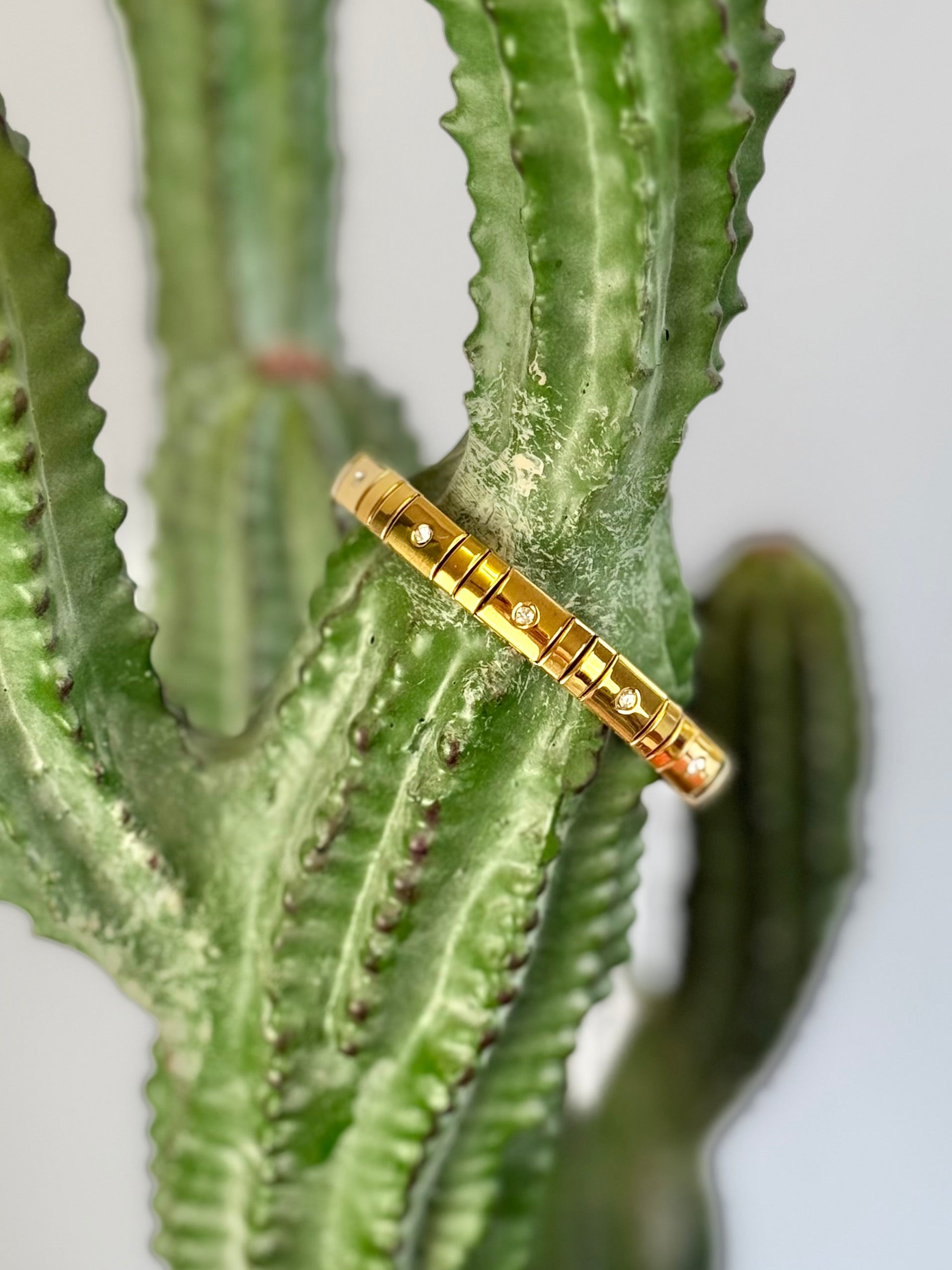 The Skinny Luxe Link Bracelet