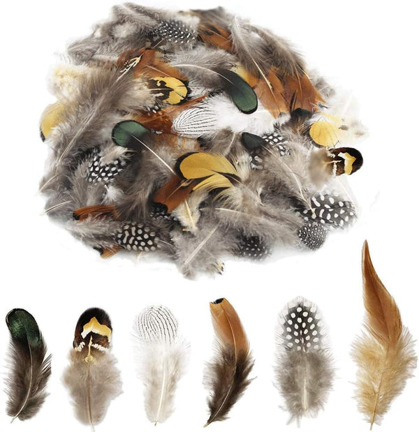 The Small Feathers