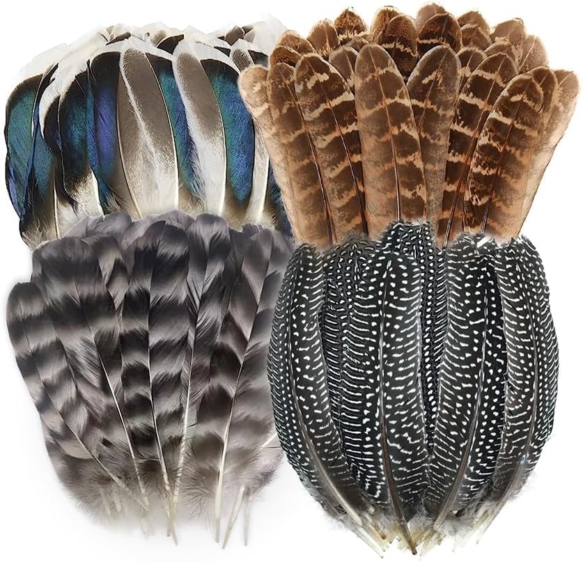 The Medium Feathers