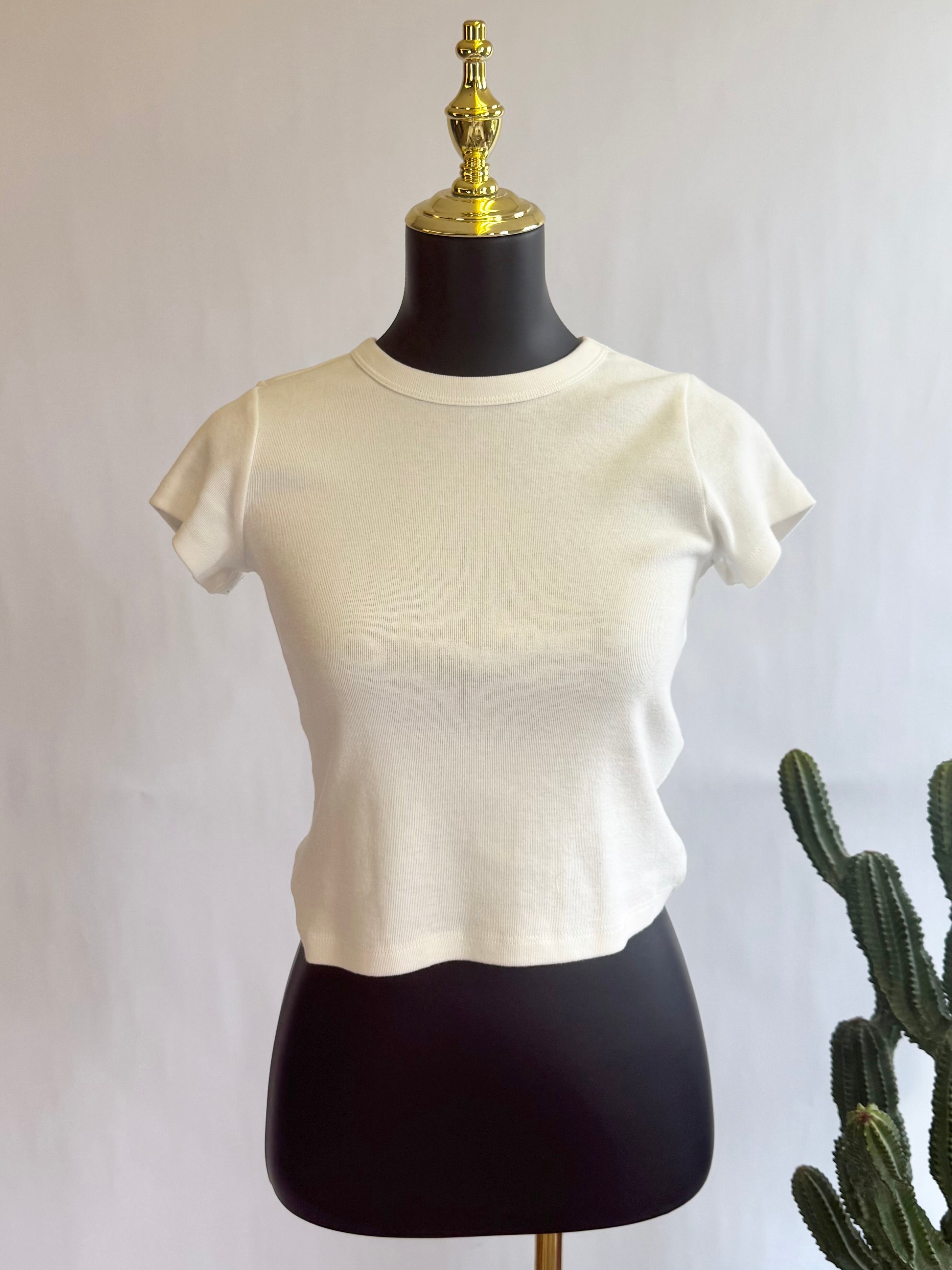 The Every Day Crop Top