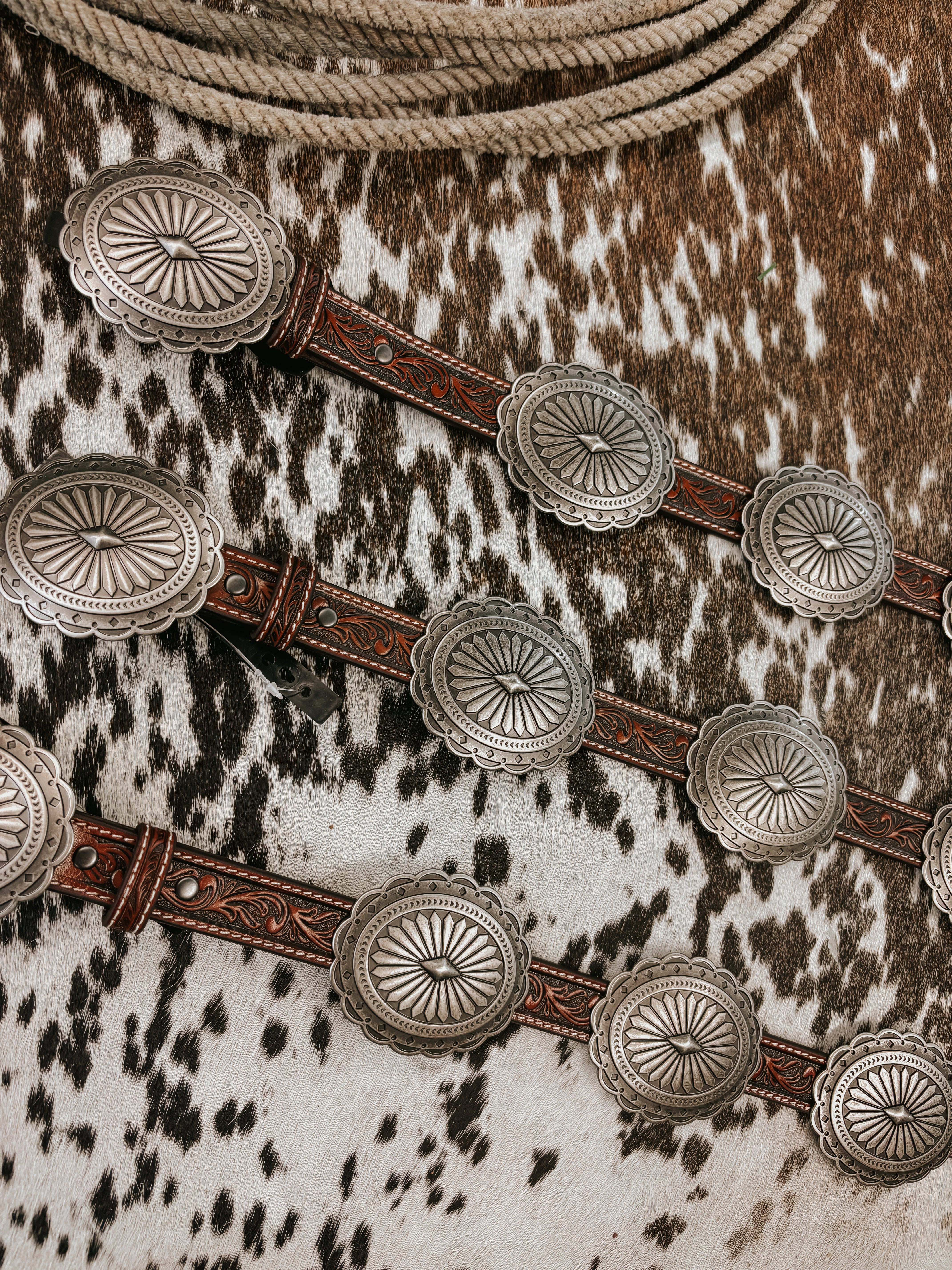 The Ariat Oval Tooled Concho Belt