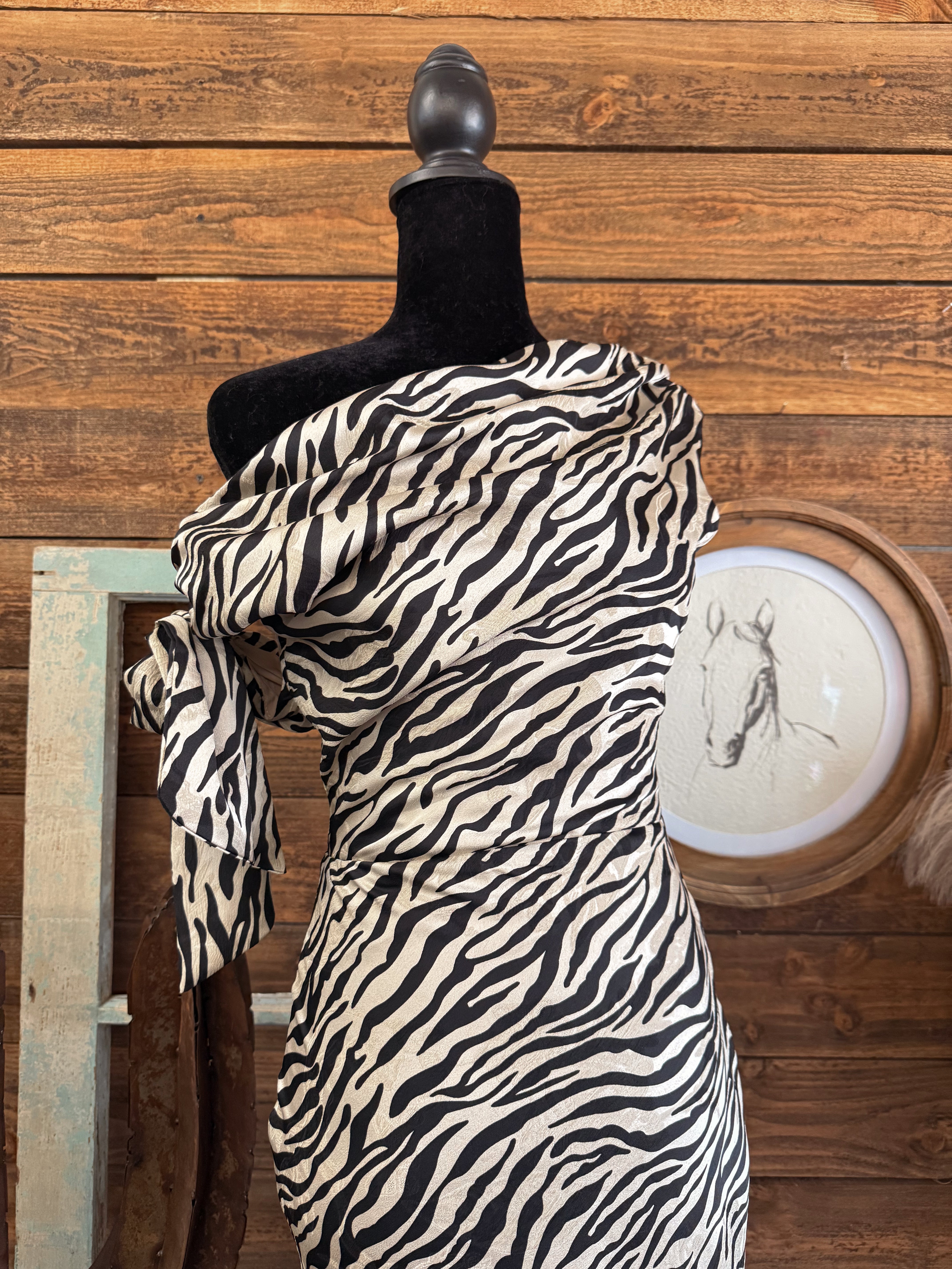 The Zonia Zebra Dress