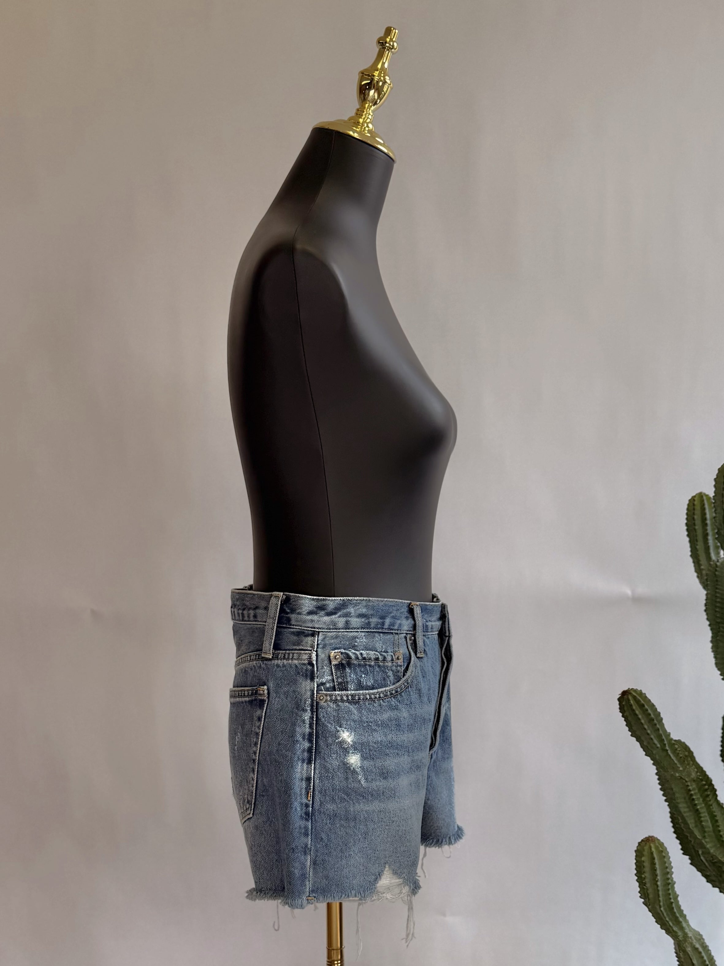 The Coastal Cowgirl Denim Shorts