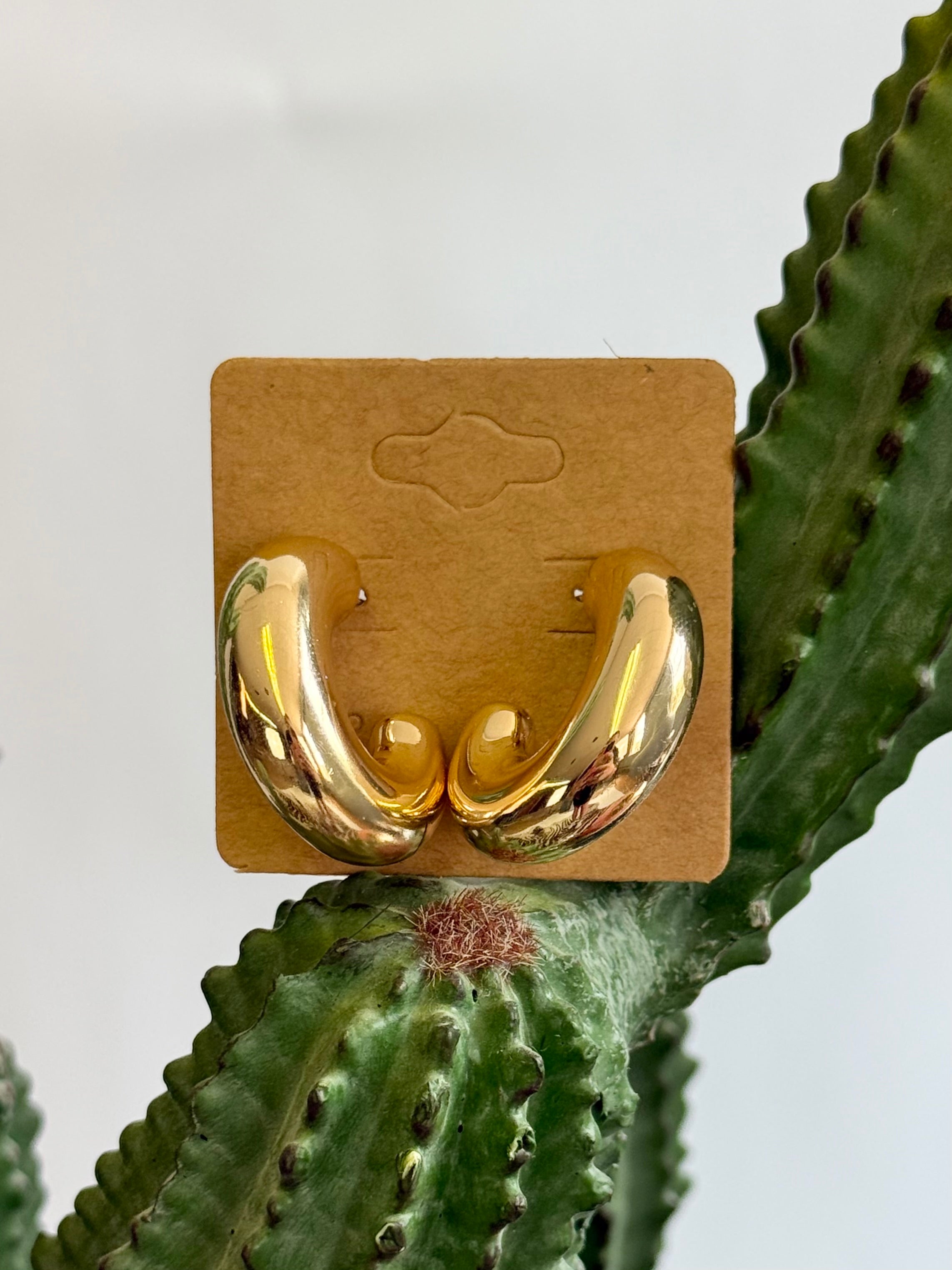 The Dilly Dally Hoops