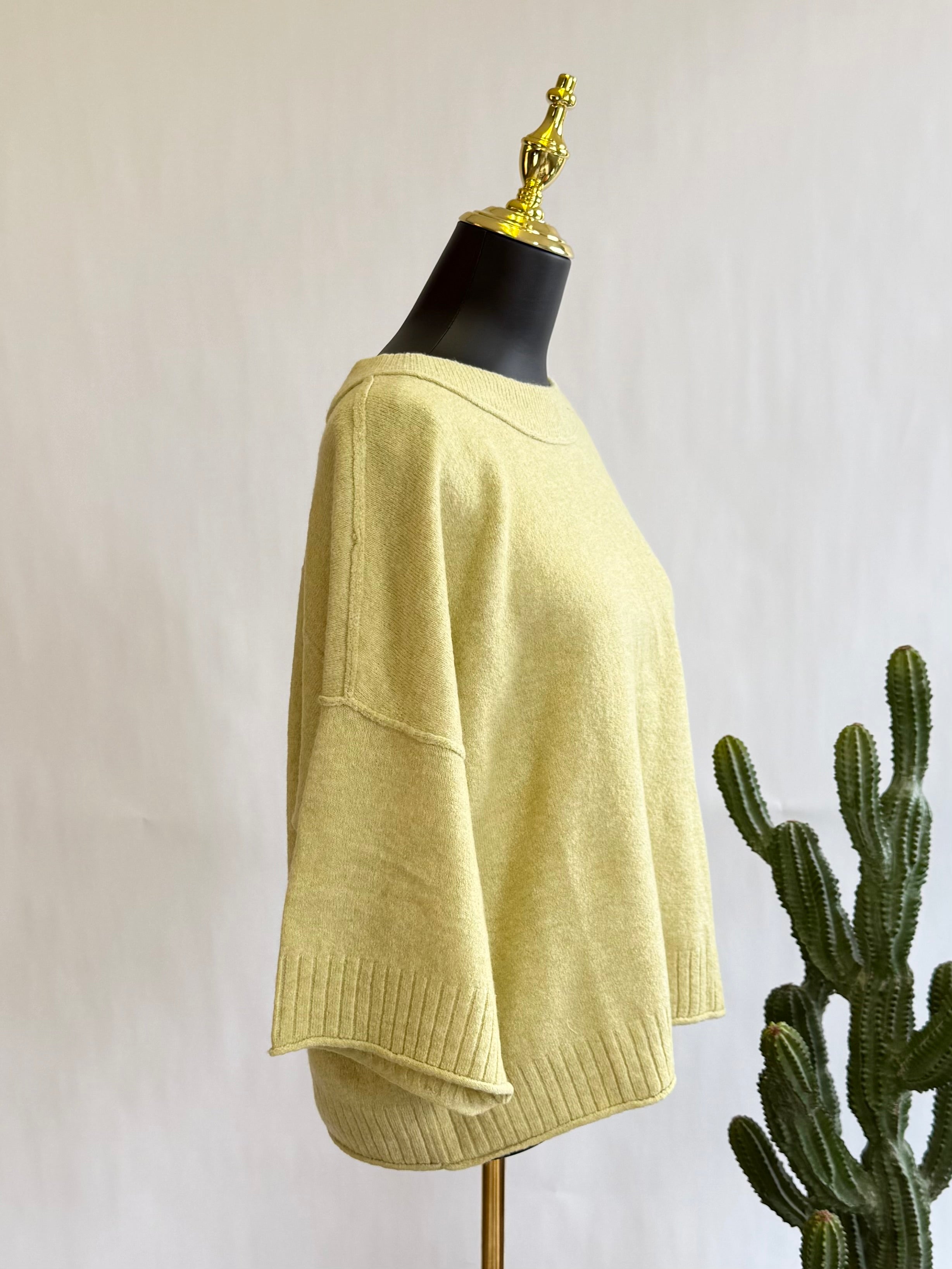 The Cotierra Oversized Crewneck Sweater