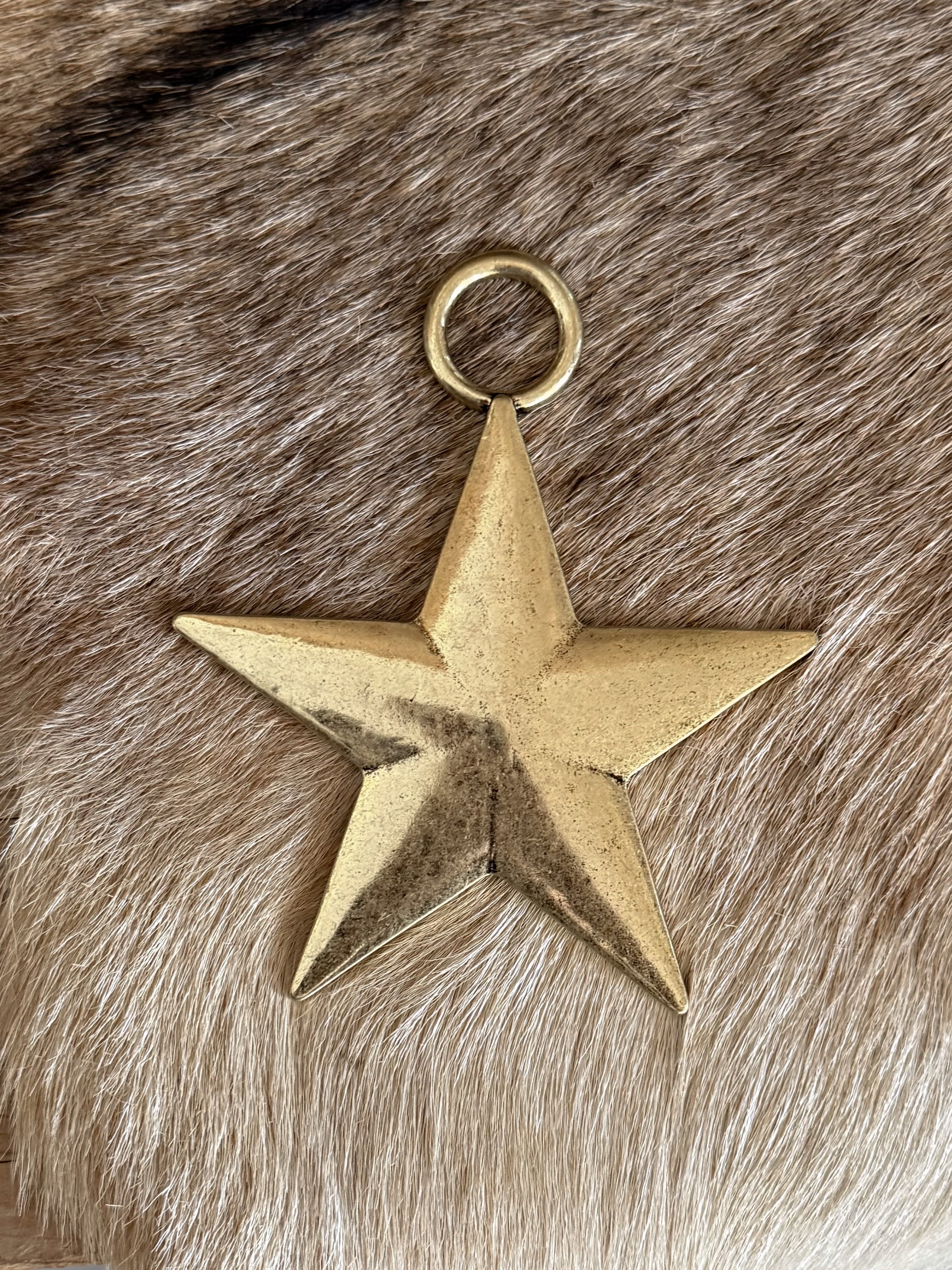 The Medallion Pendant