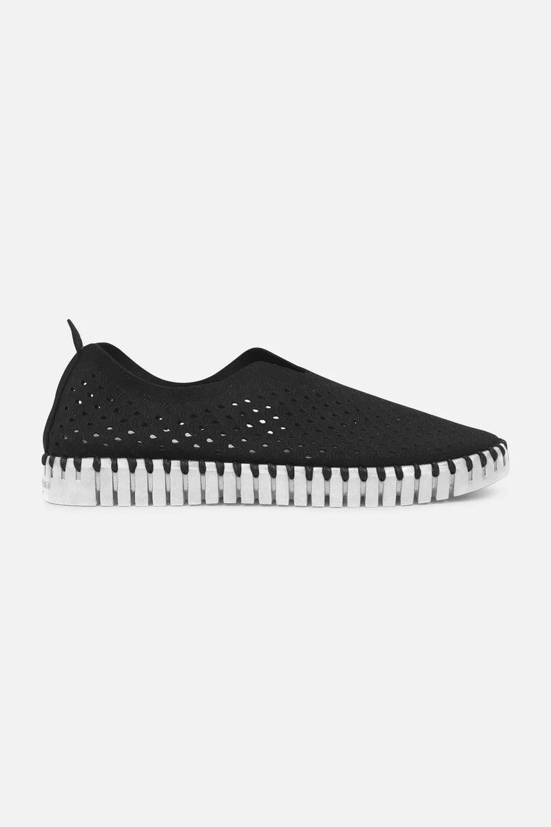 The Tulip Flat Black Shoes