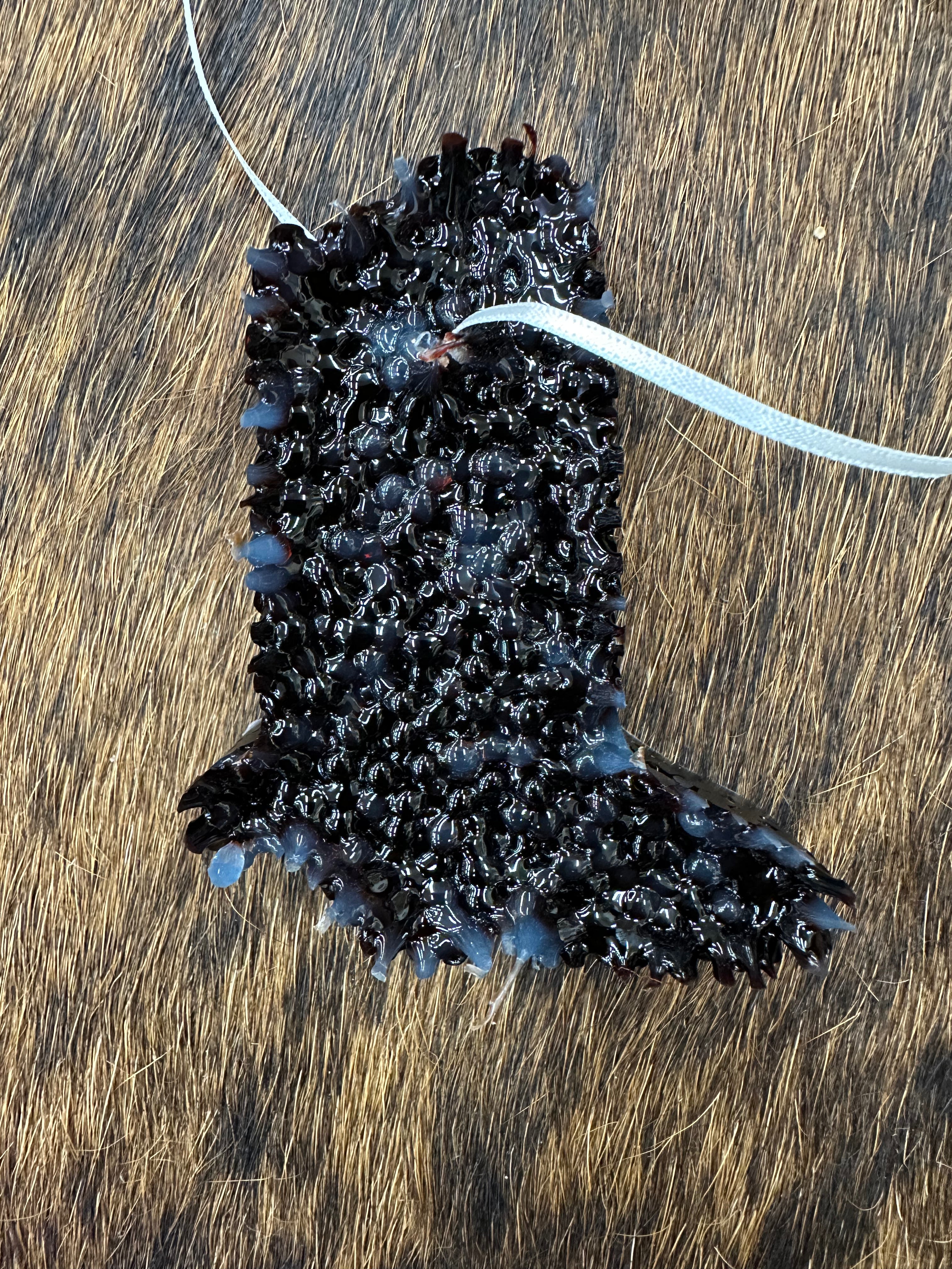 The Cowgirl Britches Car Freshie