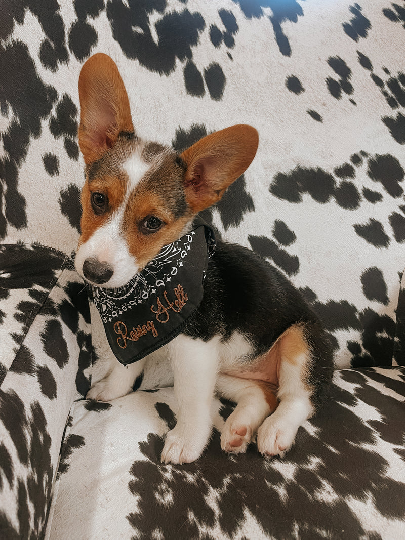 The Chainstitched Bandanas
