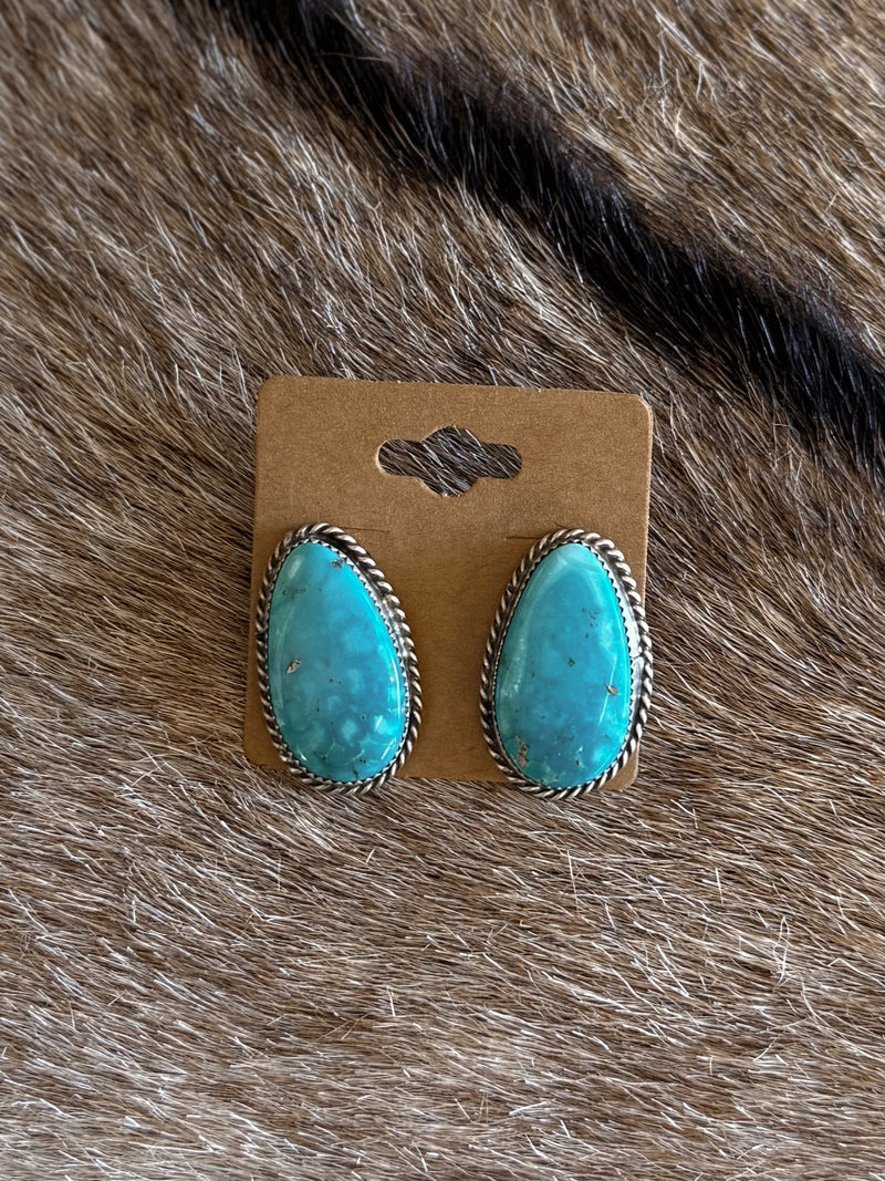 The Nez Post Earrings