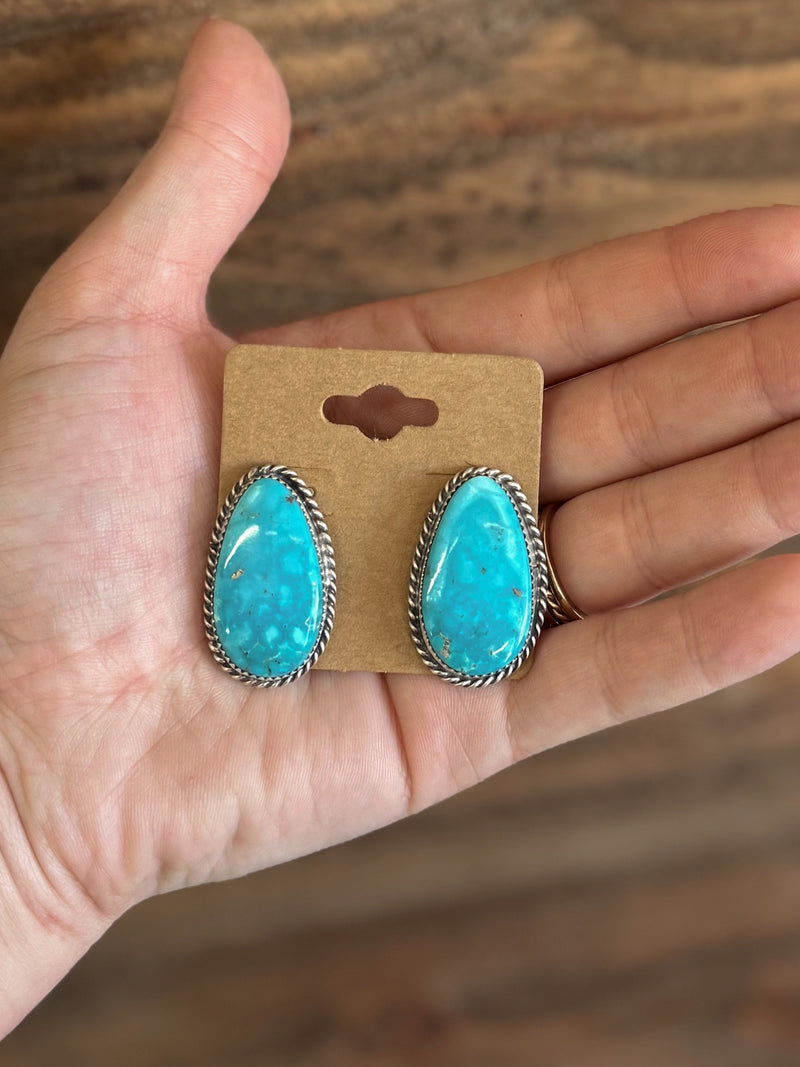 The Nez Post Earrings
