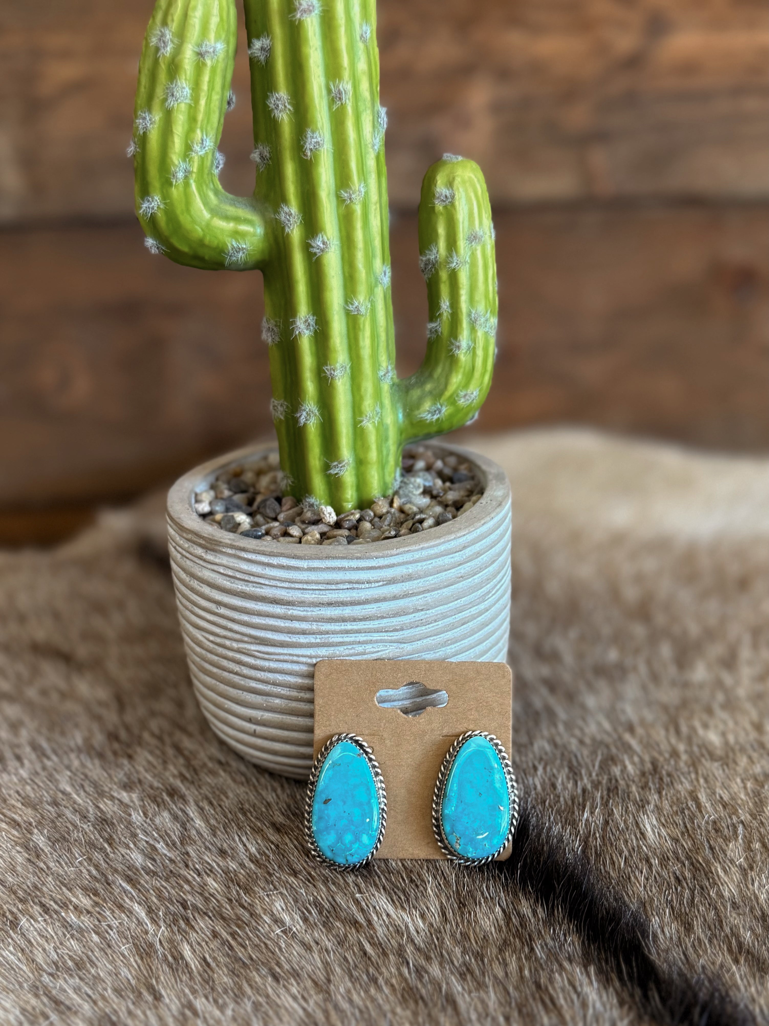 The Nez Post Earrings