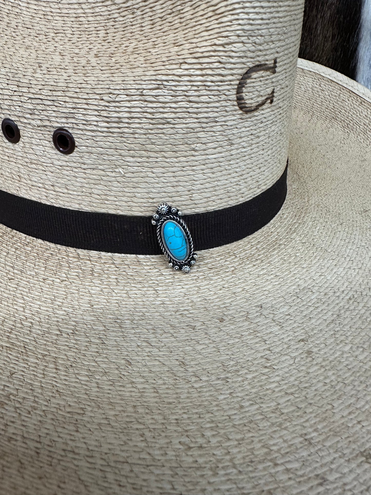 The Fancy Turquoise Hat Pin