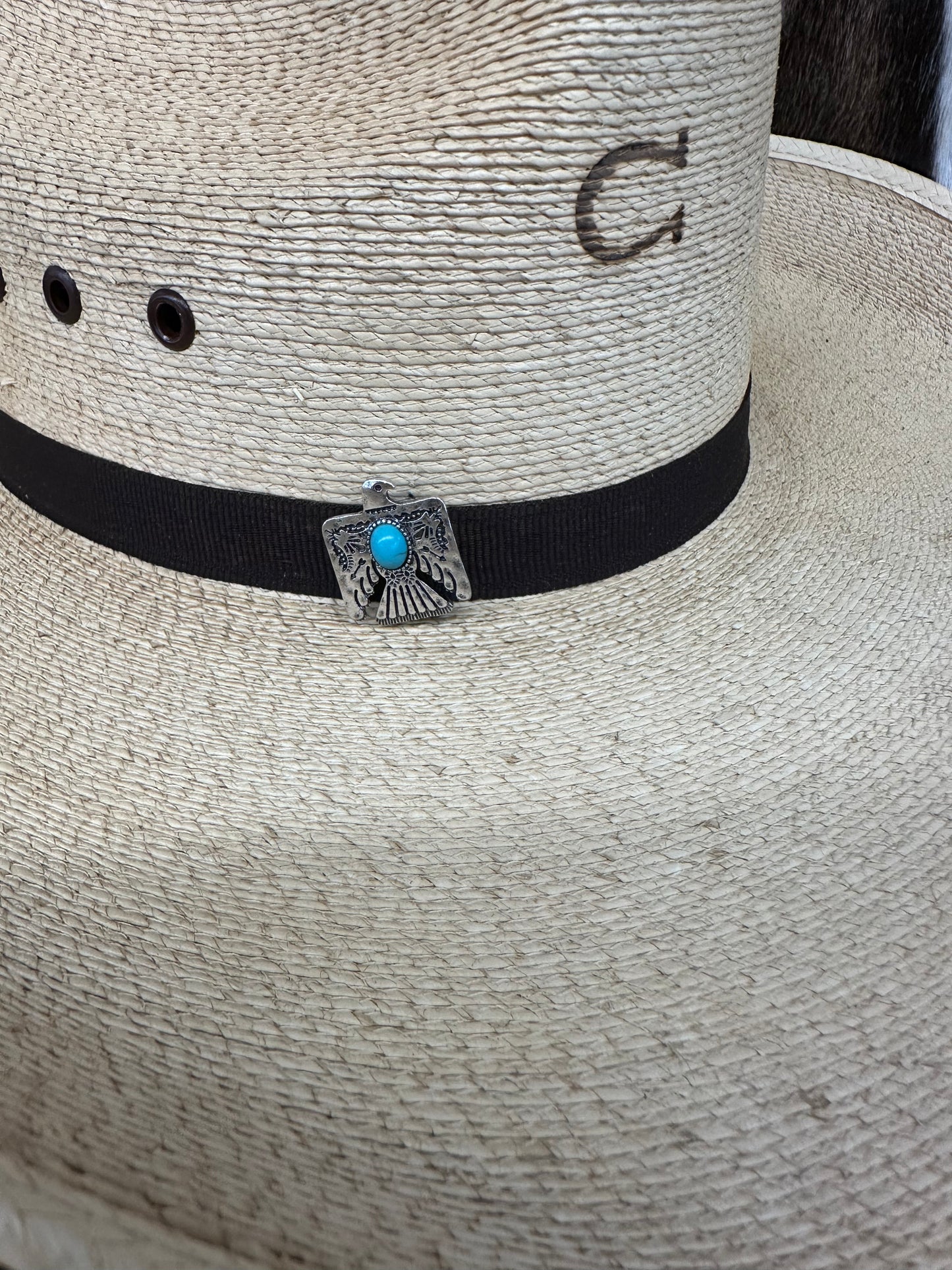 The Turquoise Thunderbird Hat Pin