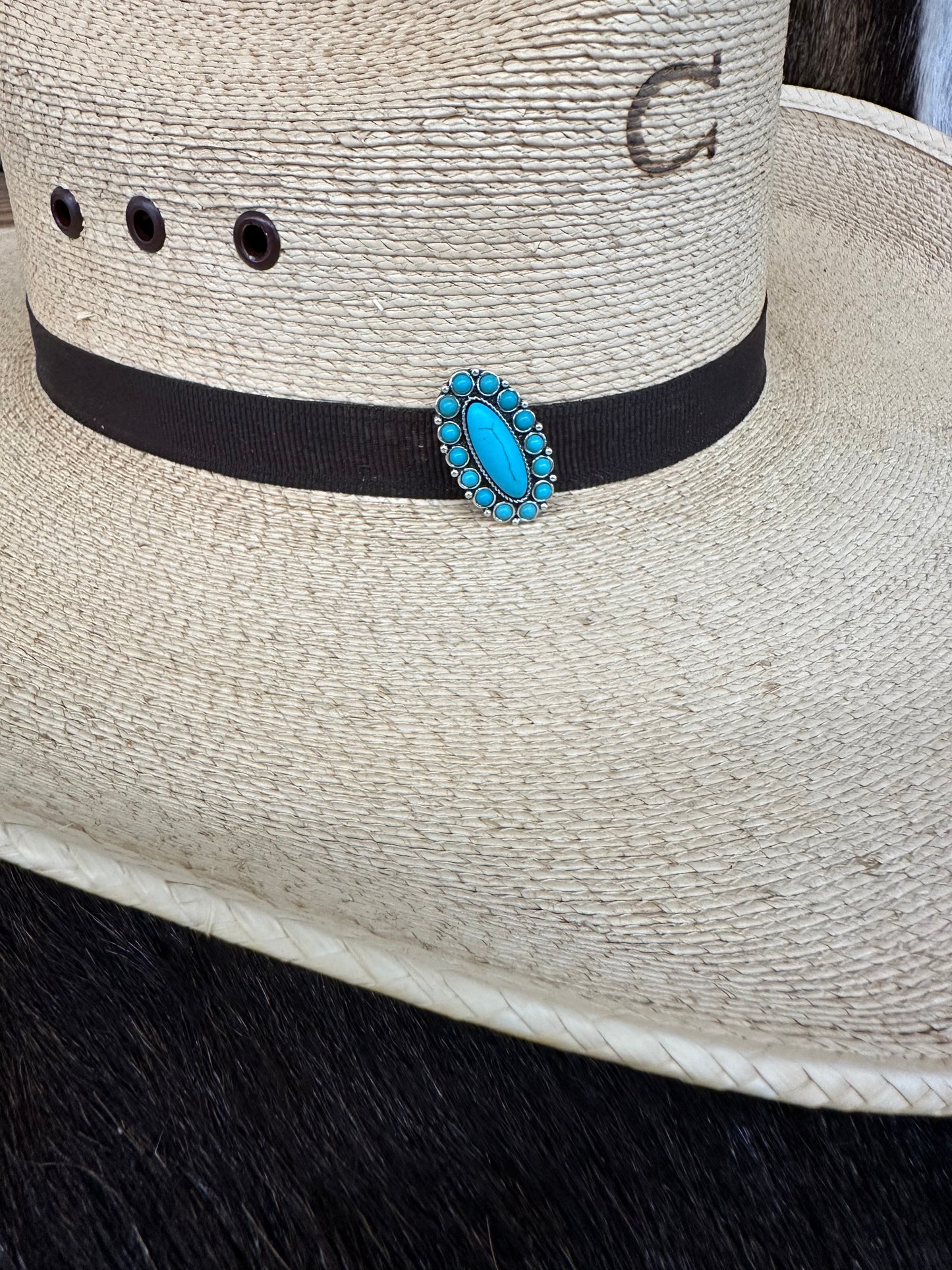 The Turquoise Feeds My Soul Hat Pin