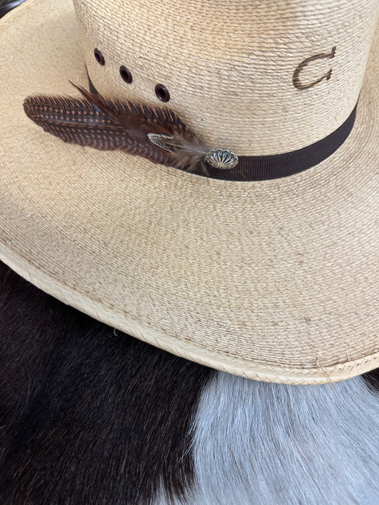 The Country Song Feather Hat Pin