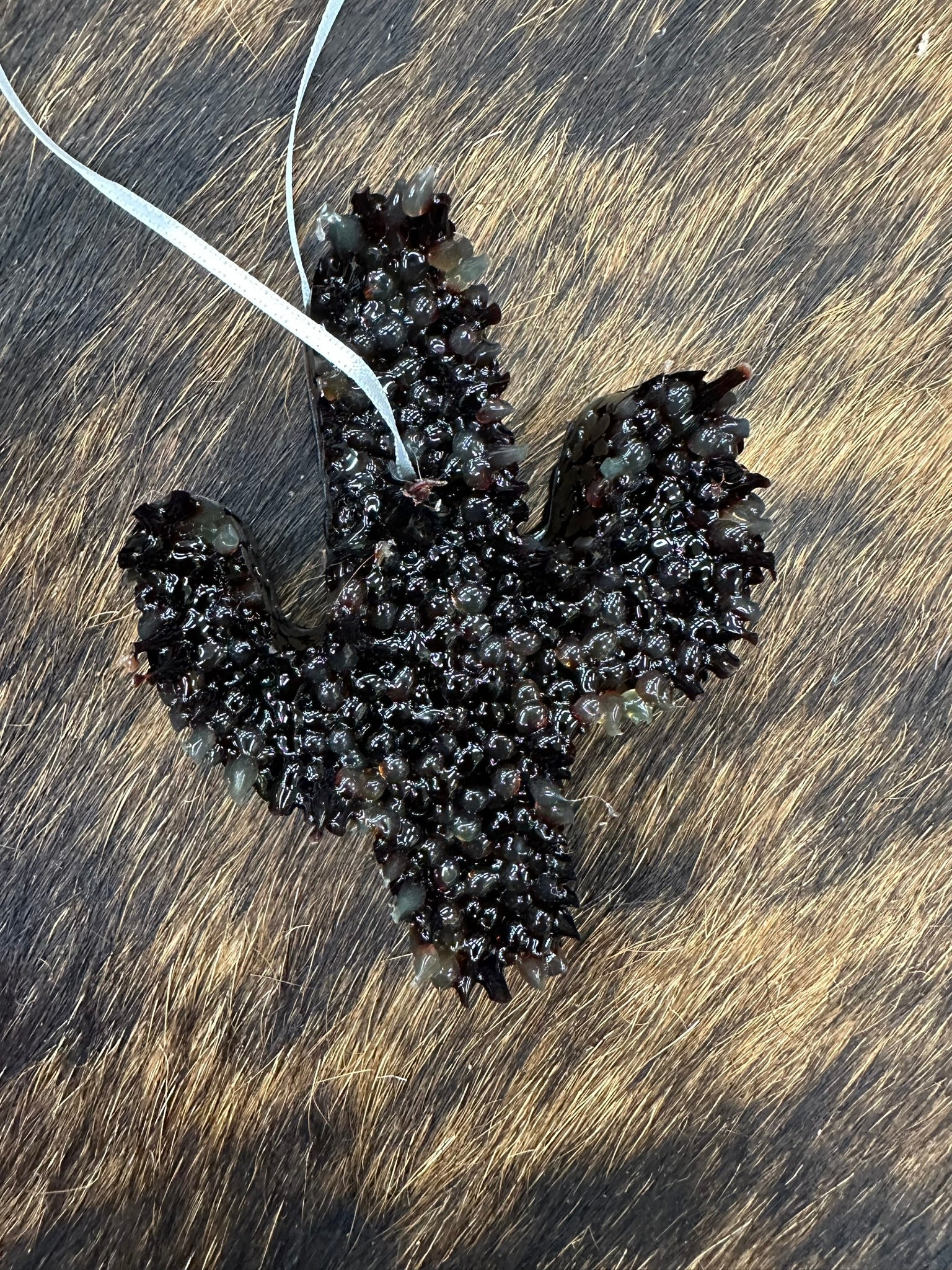 The Outlaw Car Freshie