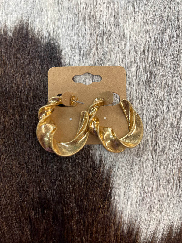 The Twisted Earrings