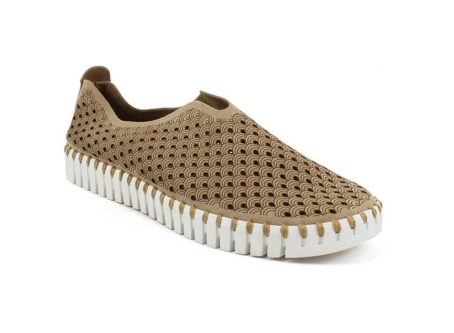 The Tulip Latte Shoes