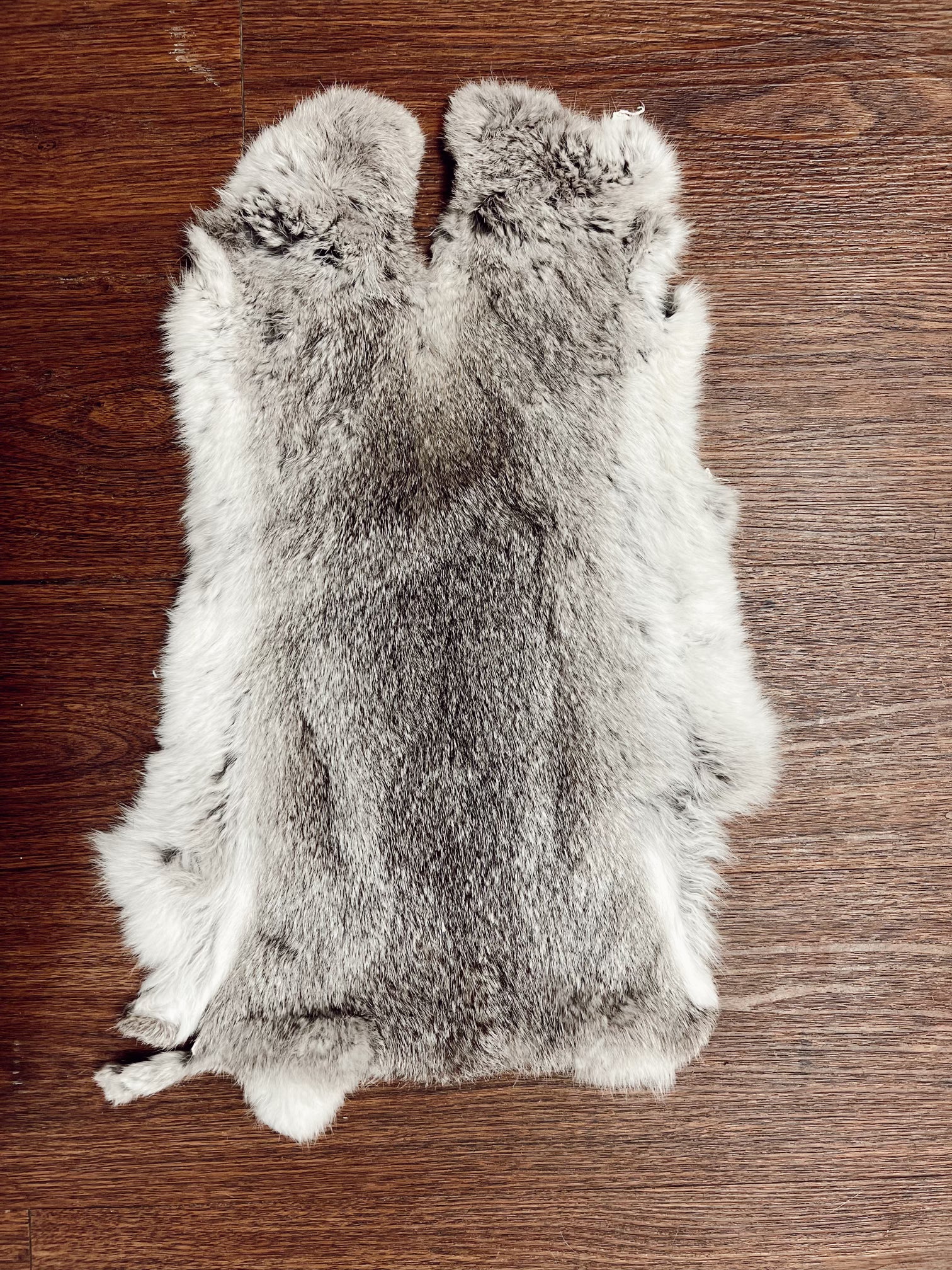 The Rabbit Fur