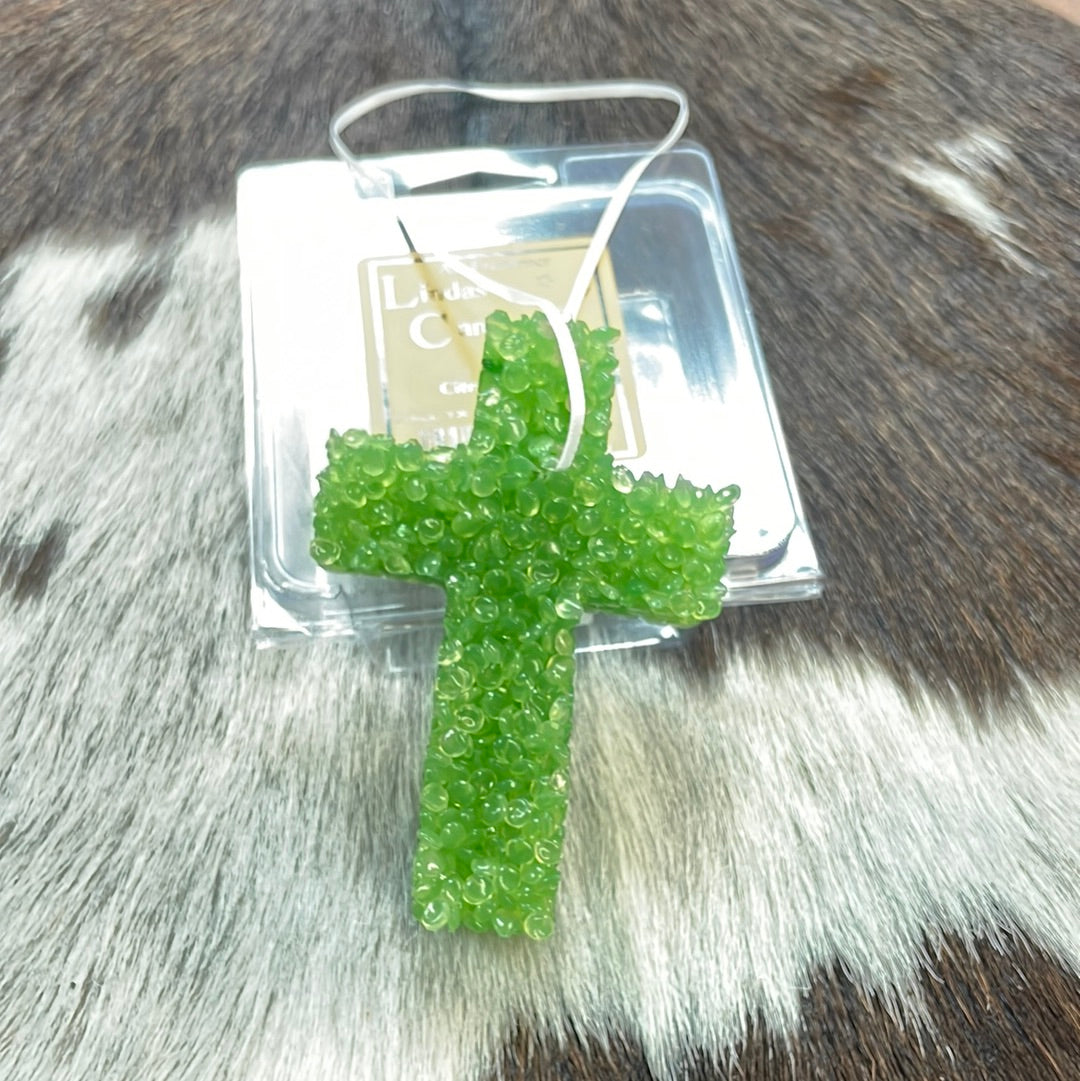 The Citrus Splash Car Freshie