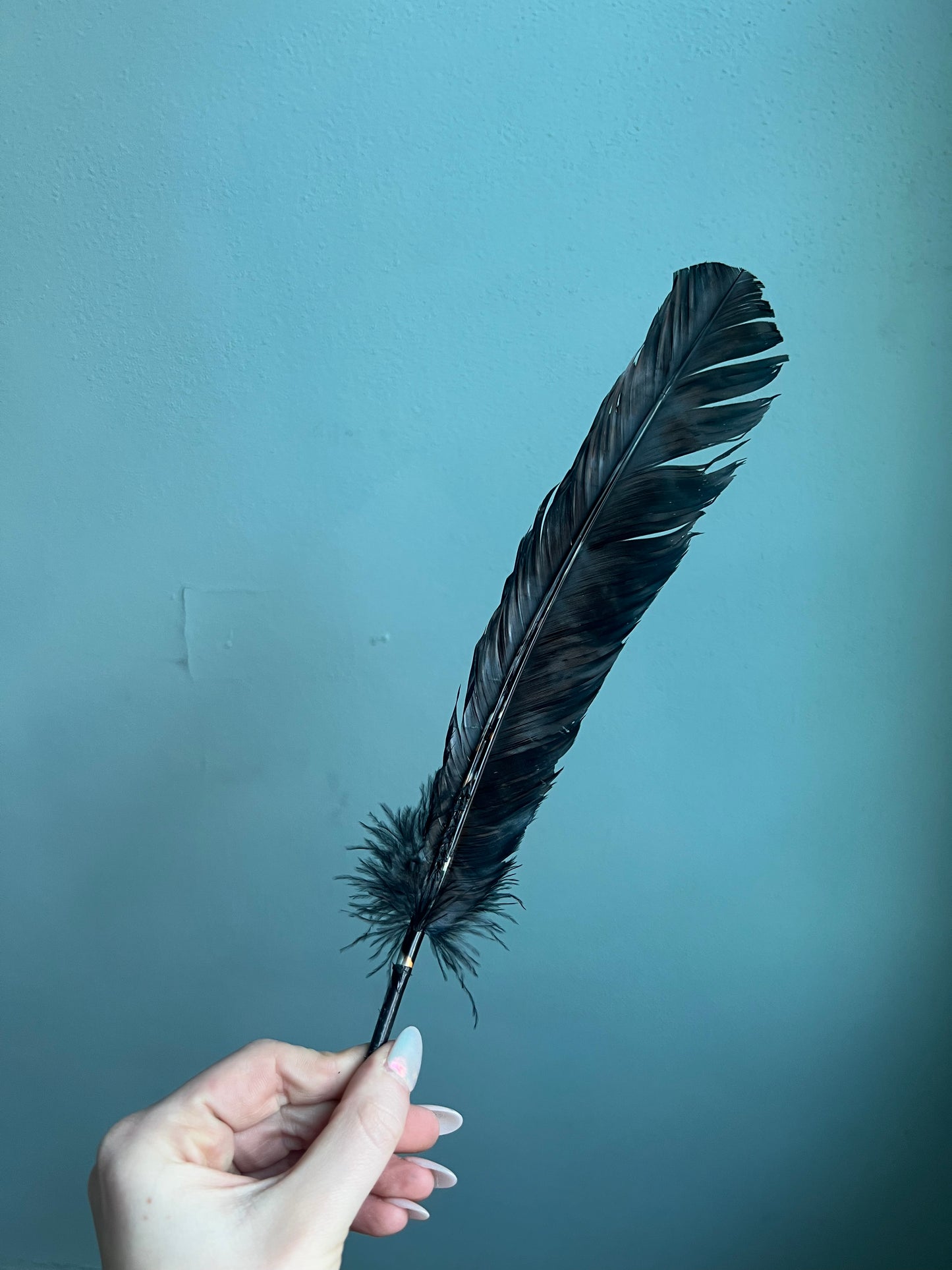 The Pointer Feather