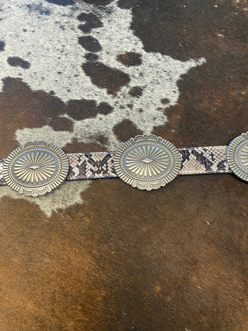 The Snake Belt