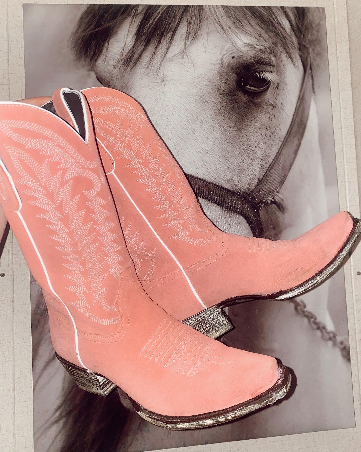 The Liberty Black Pink Suede Gamuza Rosa Boots