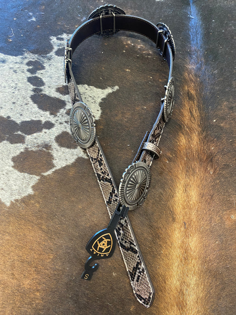 The Snake Belt